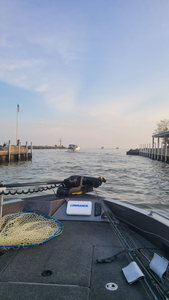 Explore the Best of Lake Erie Fishing Trips